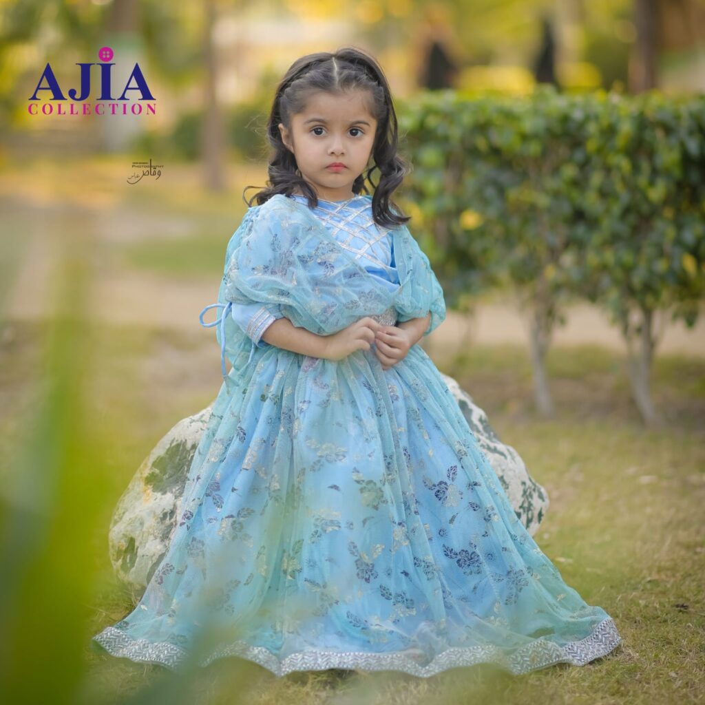 Light Blue Lehenga Choli Dress