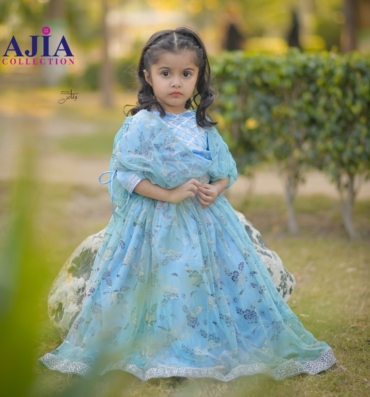 Light Blue Lehenga Choli Dress