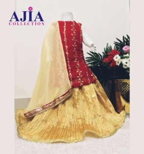 Crimson Radiance lehenga set (1)