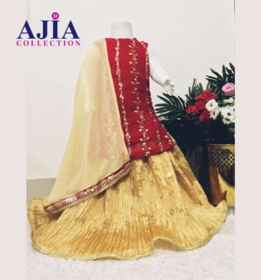 Crimson Radiance lehenga set (1)