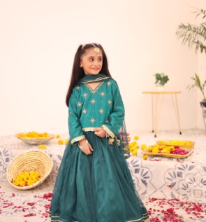 sada bahar emerald lehanga choli (5)