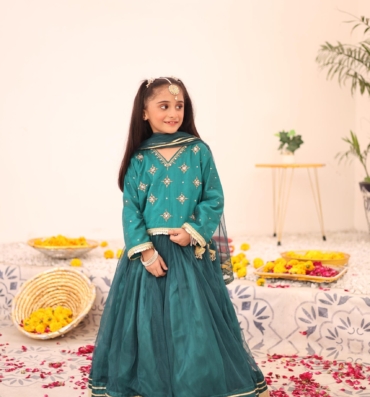 sada bahar emerald lehanga choli (5)