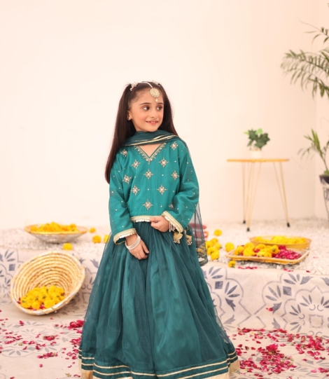 sada bahar emerald lehanga choli (5)