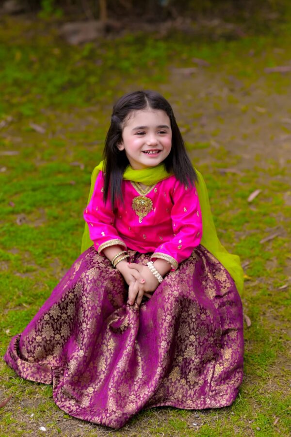 Embroidered Silk Lehenga Choli-Fuschia - Image 3