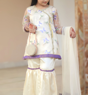 Elegant Party Wear Dress-Sequin Net